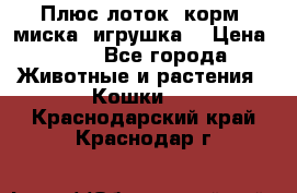 Плюс лоток, корм, миска, игрушка. › Цена ­ 50 - Все города Животные и растения » Кошки   . Краснодарский край,Краснодар г.